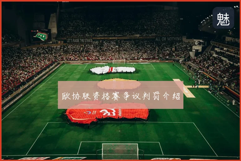 欧协联资格赛争议判罚介绍